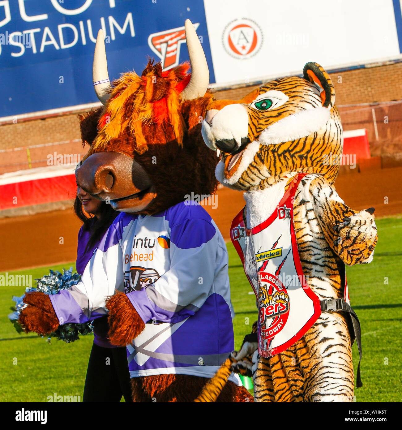 Glasgow, Scotland, UK. 12th August, 2017. Glasgow Tigers Welcomed Clangus and the Girls from Braehead Clan Credit: Colin Poultney/Alamy Live News Stock Photo