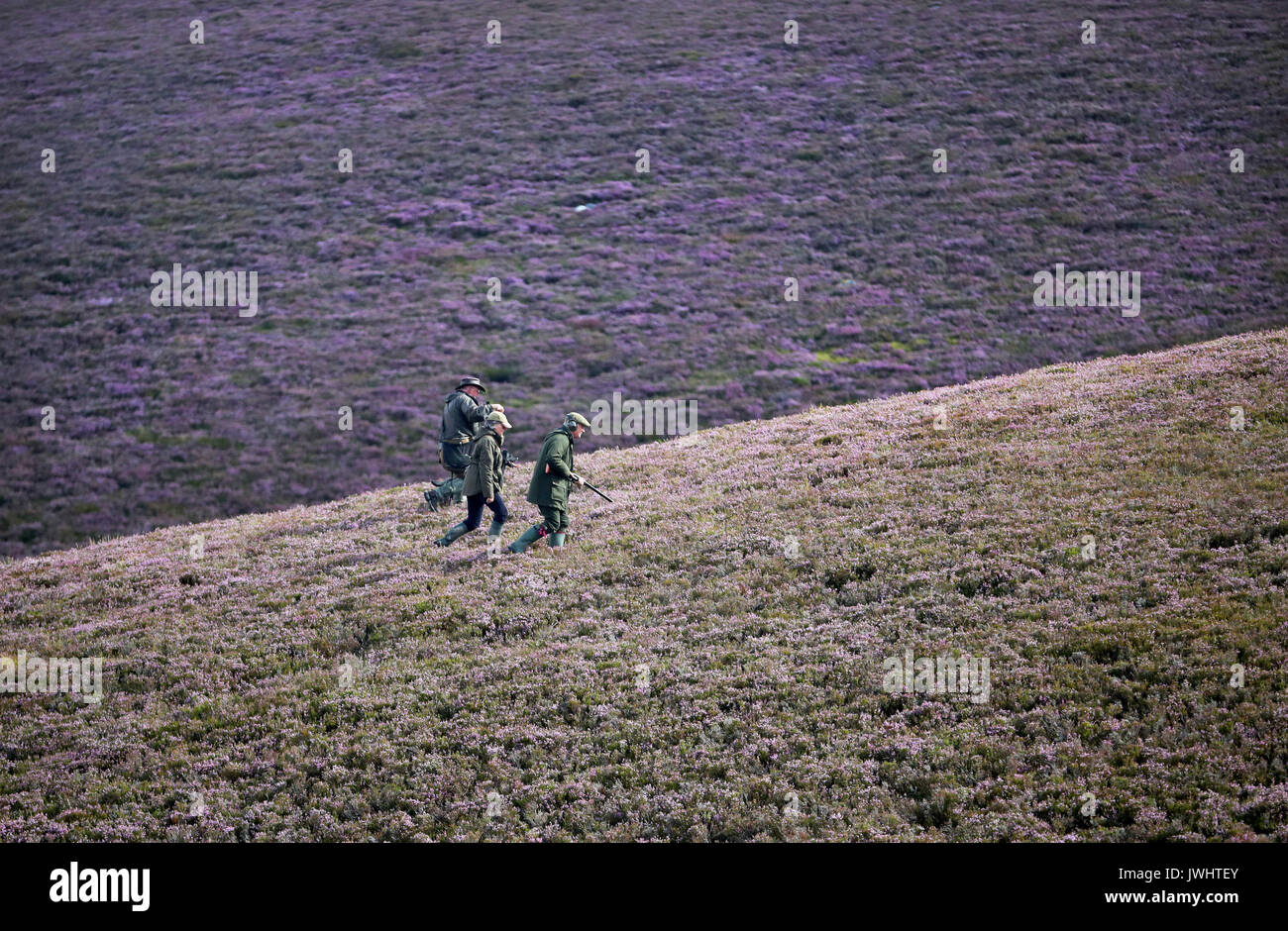 Members of a shooting party on the moors at the Alvie Estate near Aviemore on the Glorious Twelfth, the start of the grouse shooting season. Stock Photo