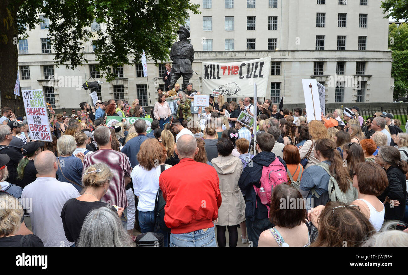 Campaigners protesting against the killing of animals for sport reach Whitehall, London, on the first day of the grouse shooting season. Stock Photo