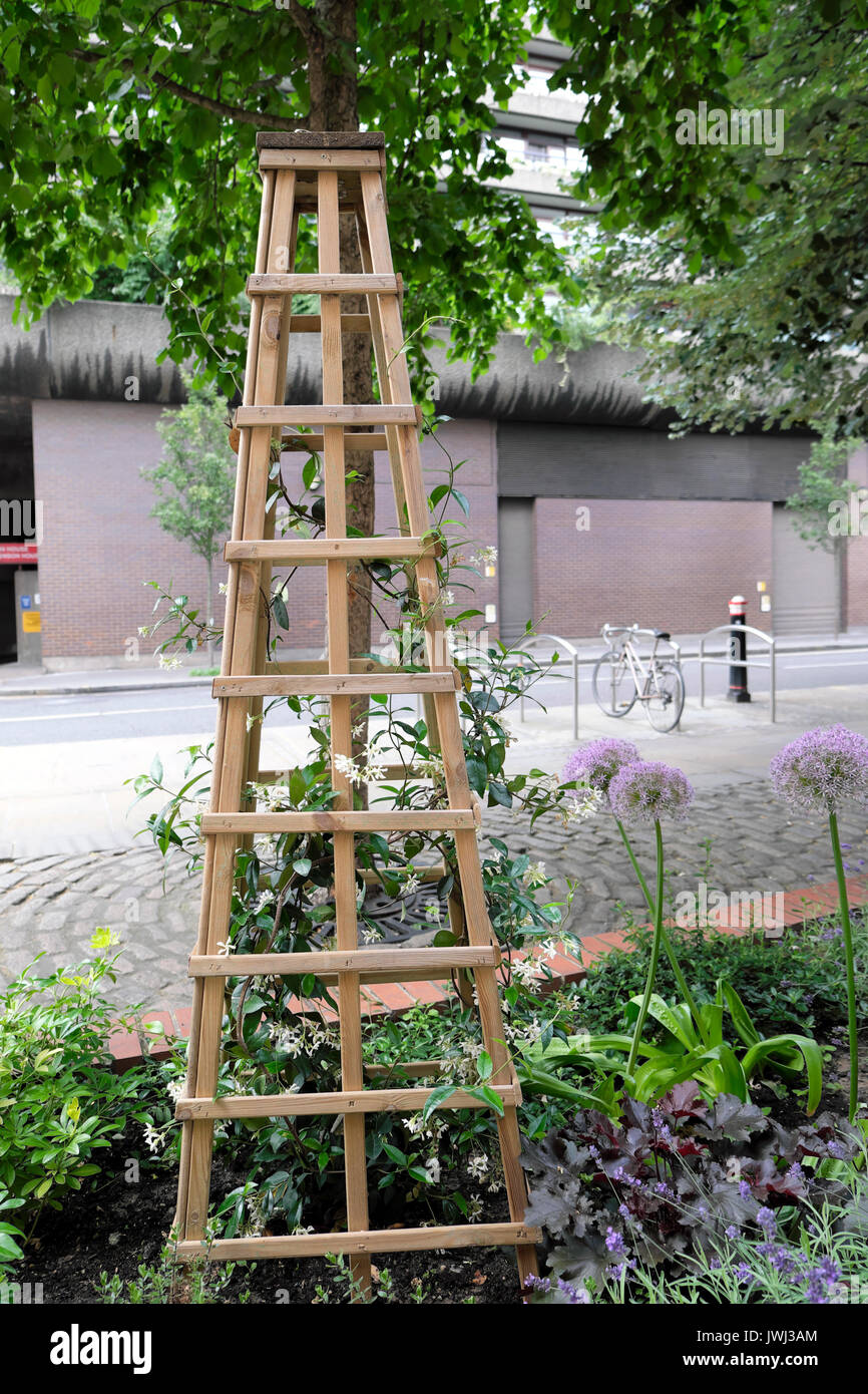 Free standing trellis for climbing plants a small City of London garden outside offices in Central London UK  KATHY DEWITT Stock Photo