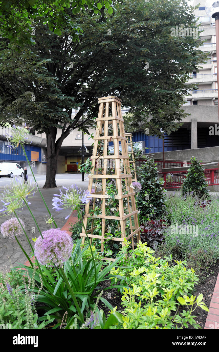 Free standing trellis for climbing plants in a small City of London