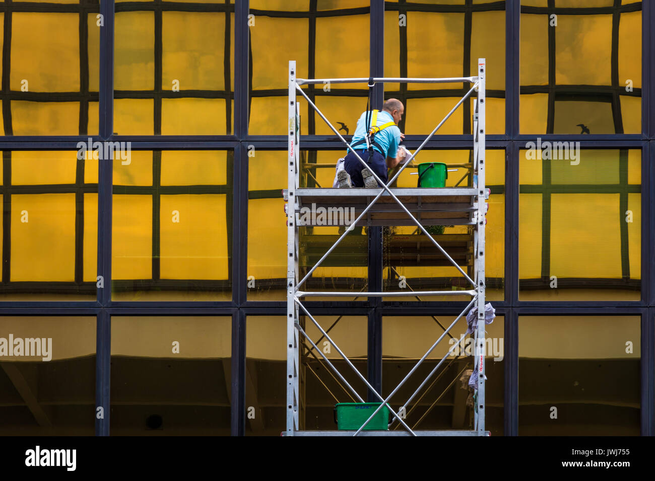 Windows cleaning work, man worker washing glasses windows at height in