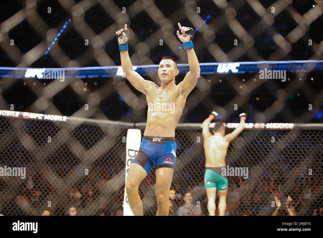 Alejandro Perez takes Andre Soukhamthath during UFC Fight Night 114 Mexico City,Mexico Stock Photo