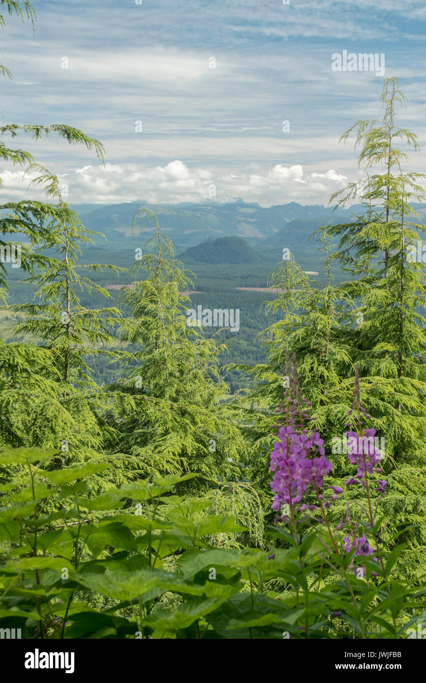 view from Rattlesnake Mountain towards Bessemer and Goat Mountain, Washington State, USA Stock Photo
