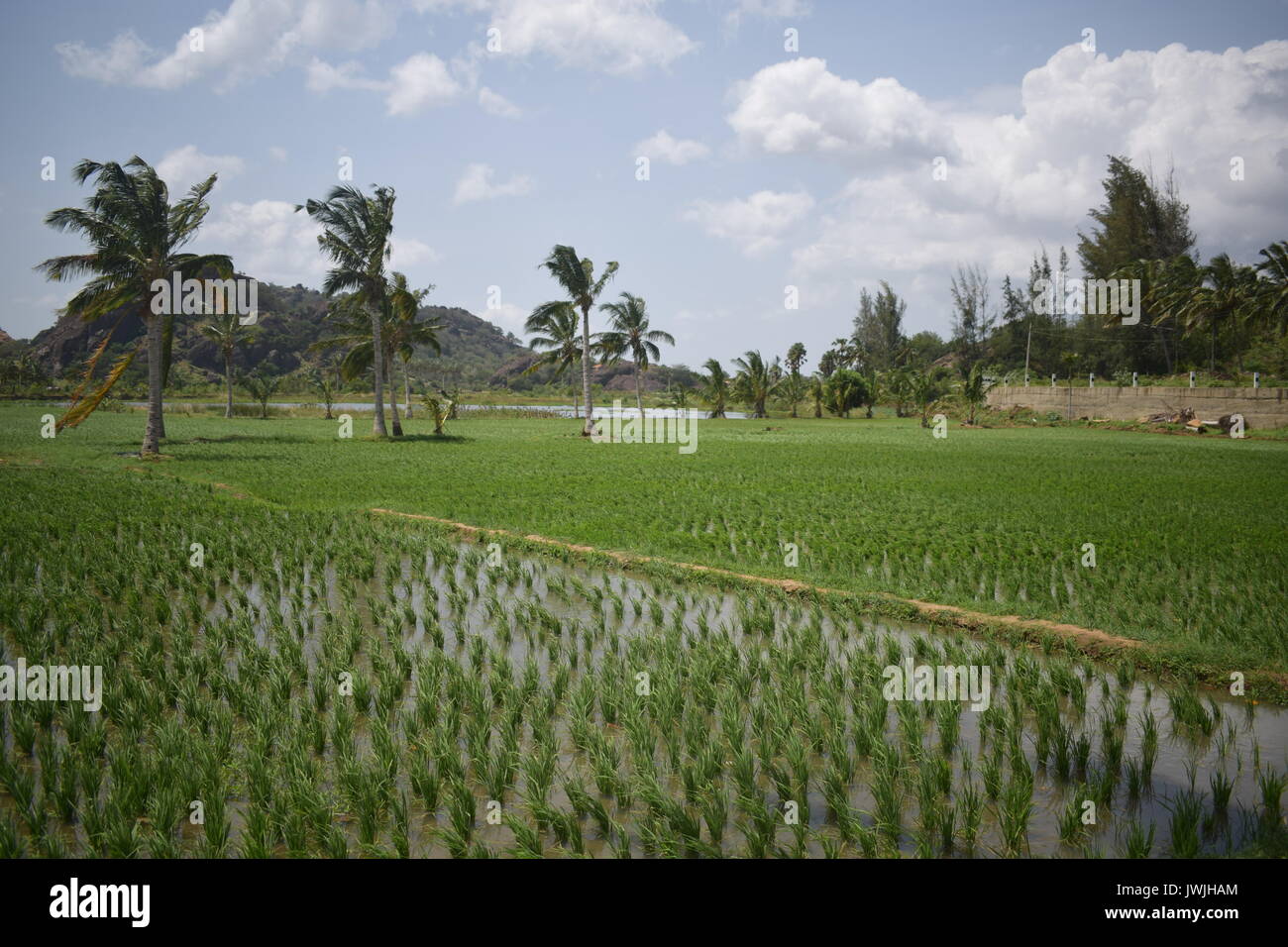 Nagercoil hi-res stock photography and images - Alamy