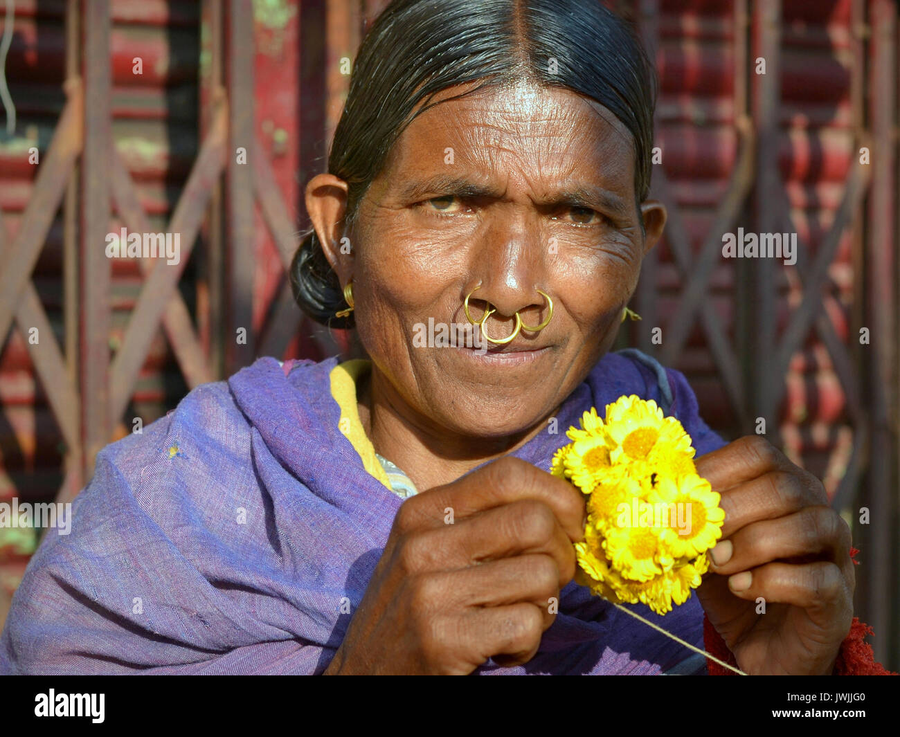 Elderly Indian Adivasi woman with three tribal nose rings poses for the camera. Stock Photo