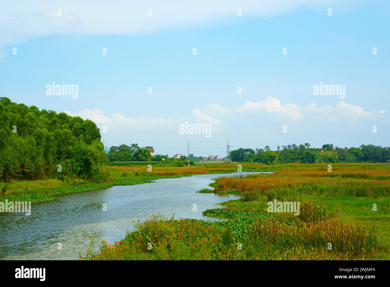 Tranquil scenery in the wetland Stock Photo