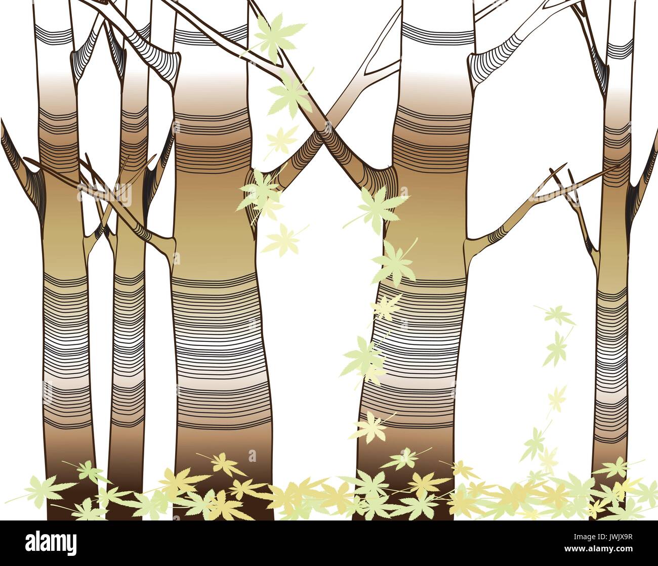Birch trees in the forest Stock Vector