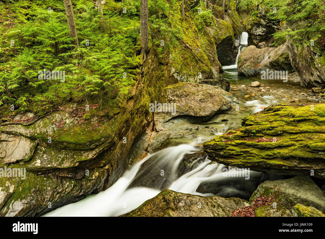 Texas Falls and Texas Brook flowing through the Green Mountain National Forest, Addison Co., VT Stock Photo