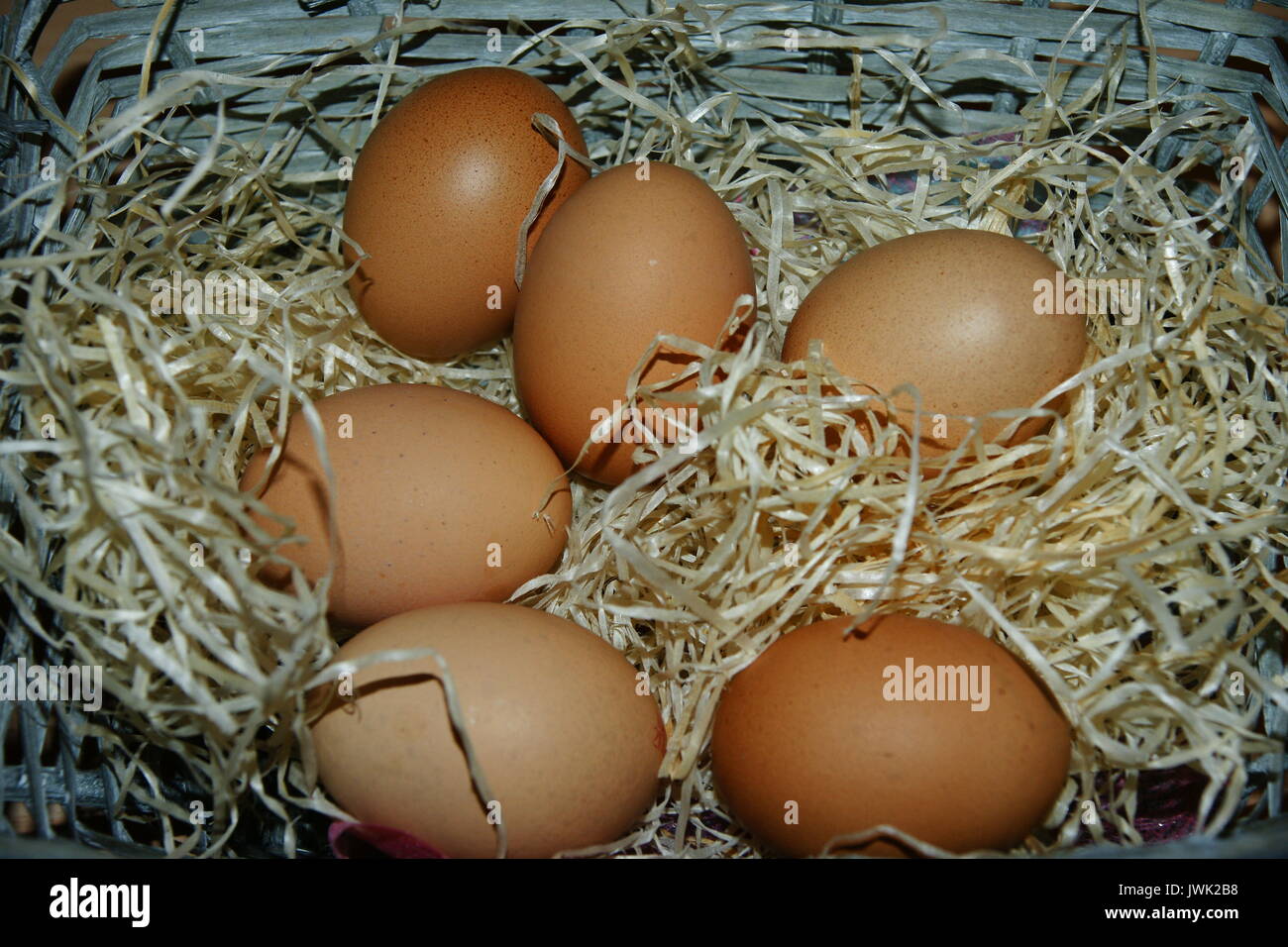 chickens eggs in a basket Stock Photo