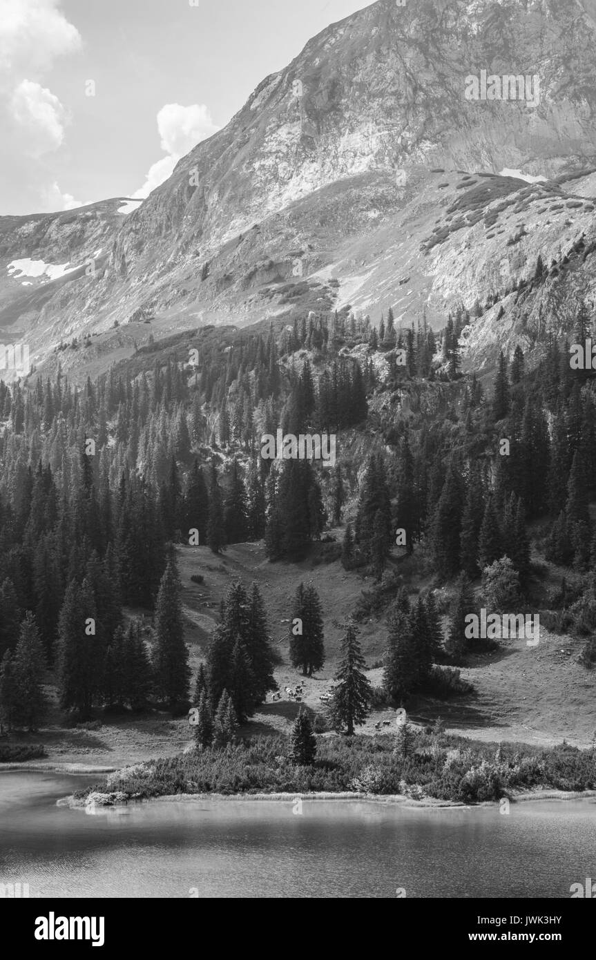 Summer alpine rural landscape Black and White Stock Photos & Images - Alamy