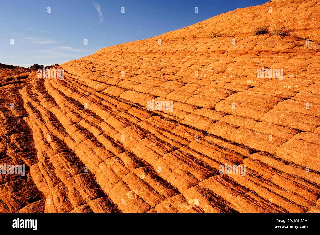 Snow Canyon State Park; St. Utah, Natural Features; Desert