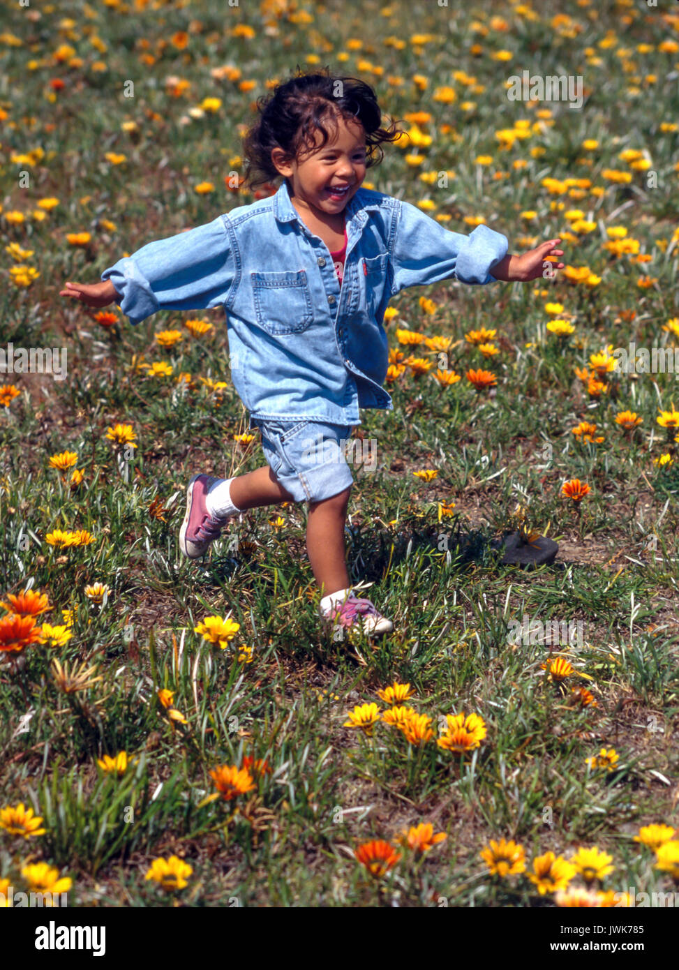 Small pre-k girl running in grassy flower field summer child,3, Stock Photo