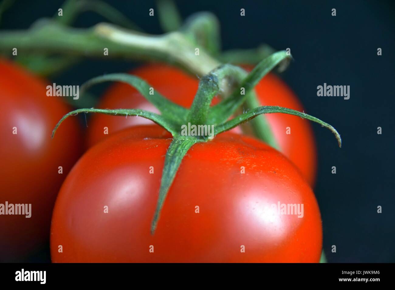Ripe tomatoes, tomato, reife Tomaten, Solanum lycopersicum Stock Photo