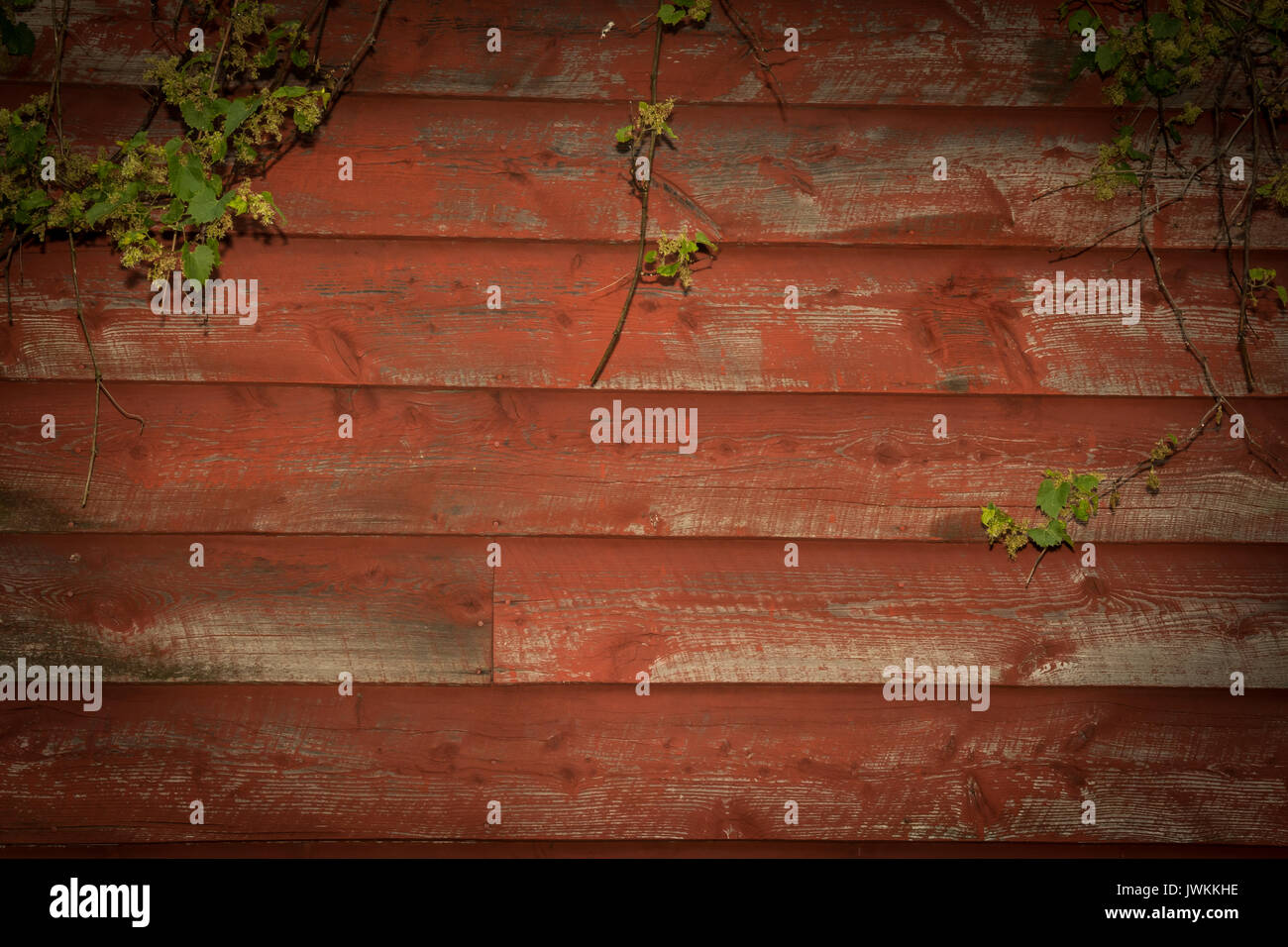 Rustic barn wood background Stock Photo
