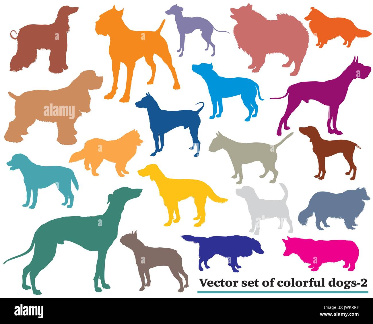Vector set of colorful isolated different breeds dogs silhouettes on ...