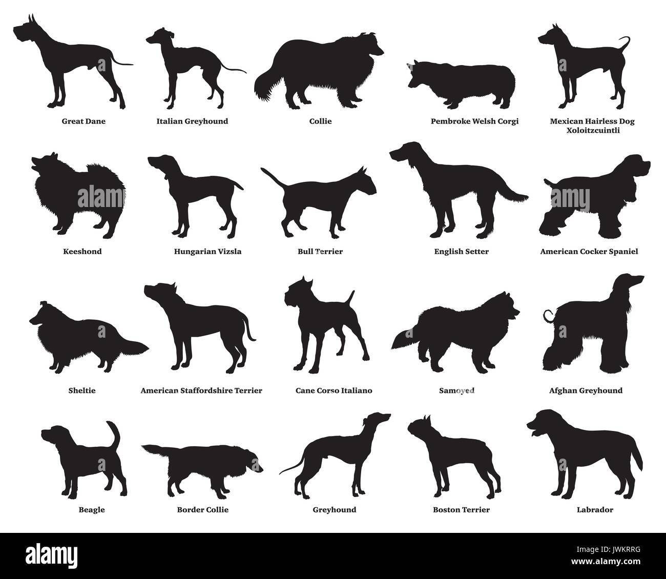 Vector set of different breeds dogs silhouettes isolated in black color on white backround. Part 2 Stock Vector