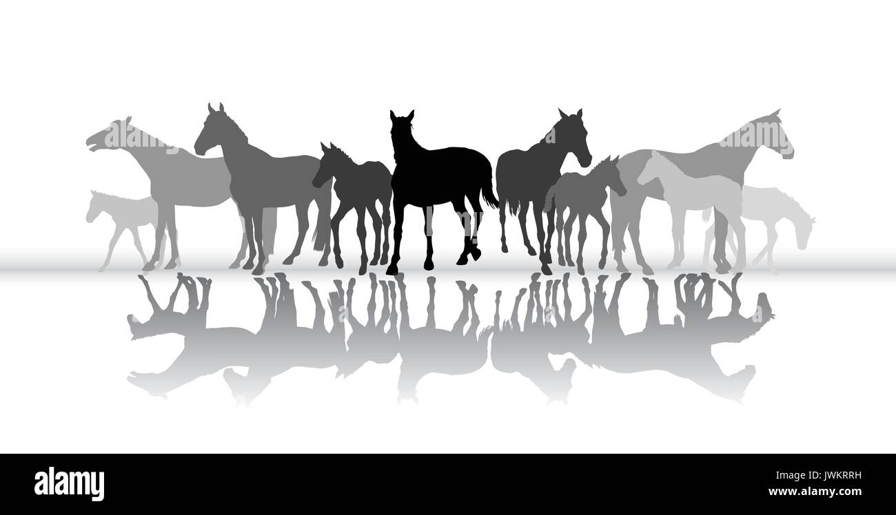 Group of isolated black and grey standing silhouettes of horses (mares and foals)  with their reflection on white background. Vector illustration. Stock Vector