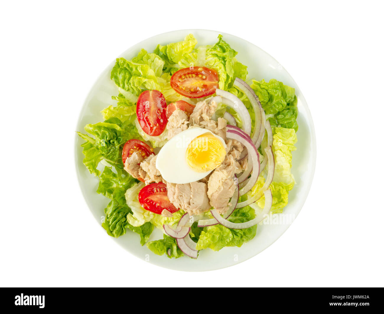 Tuna salad with lettuce leaves, cherry tomatoes, egg and sweet onion on