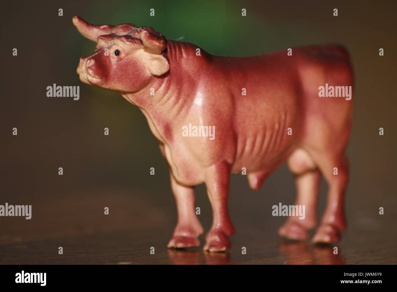Plastic hotsell toy bulls