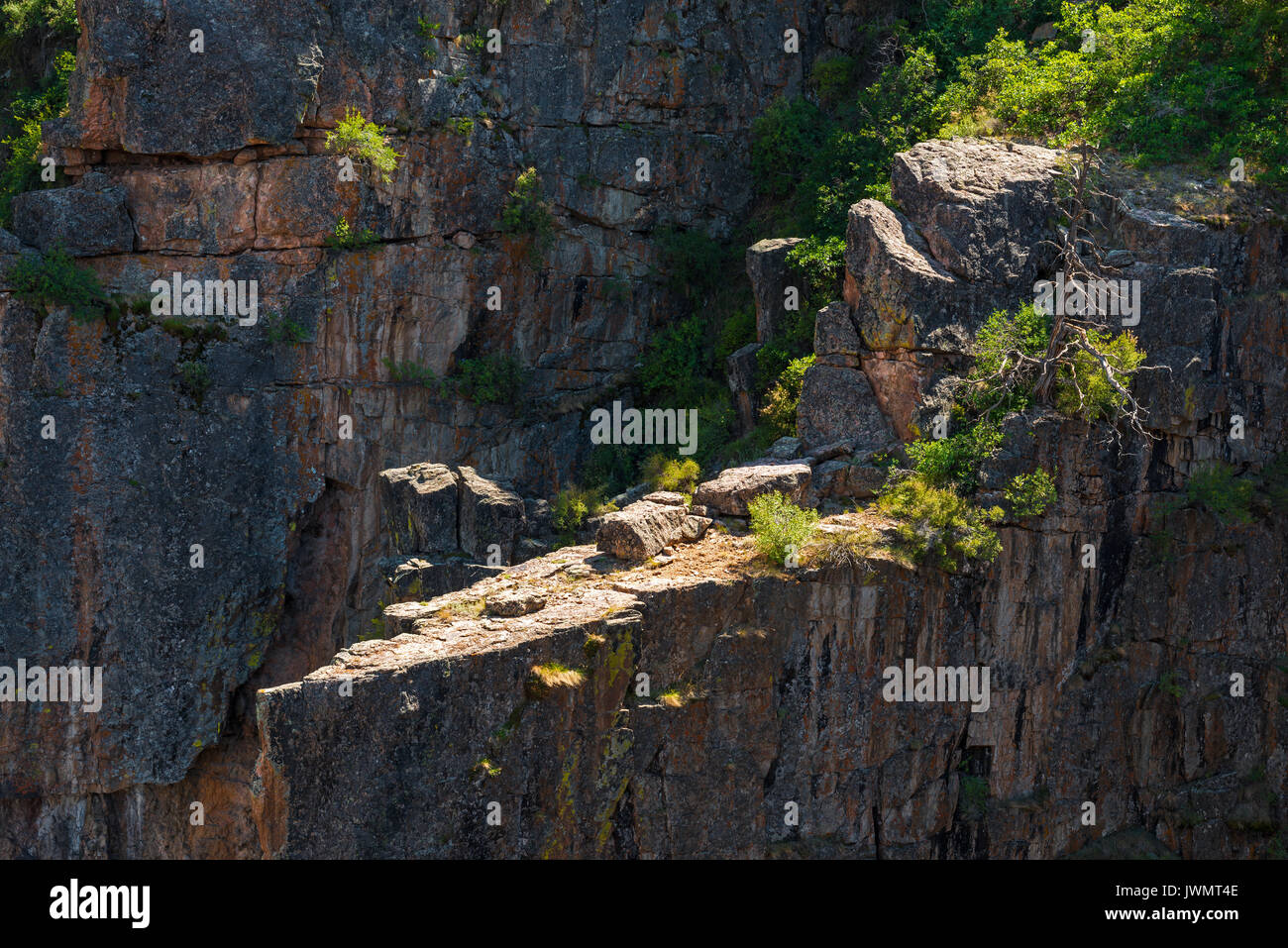 Sunshine inside the steep cliffs of the Black Canyon of the Gunnison in the state of Colorado, United States of America (USA). Stock Photo
