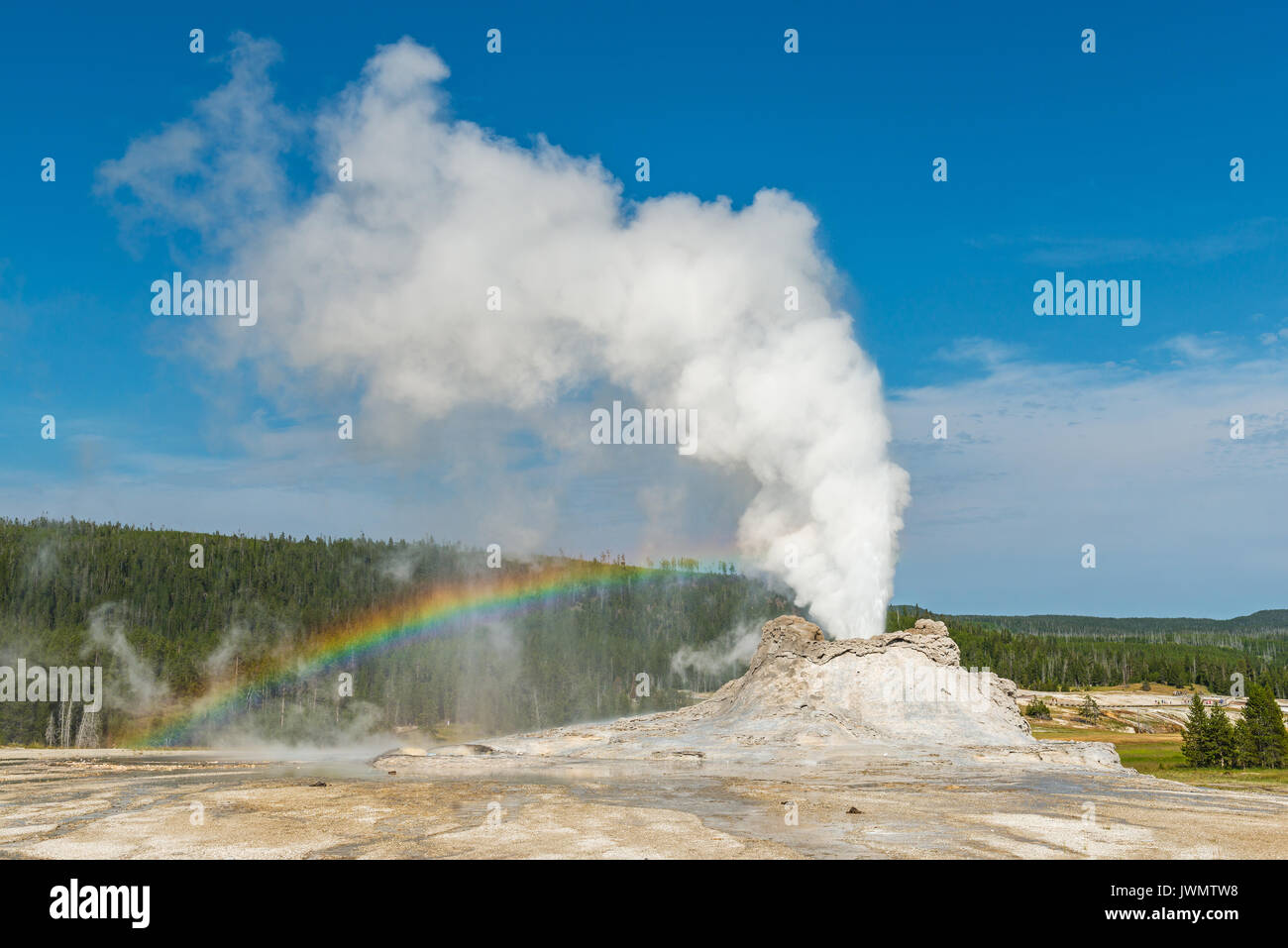 The Castle Geyser erupting in Yellowstone National Park with the appearance of a rainbow, Wyoming, United States of America, USA. Stock Photo