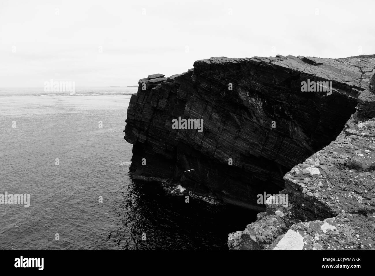 coastal scenery orkney scotland Stock Photo