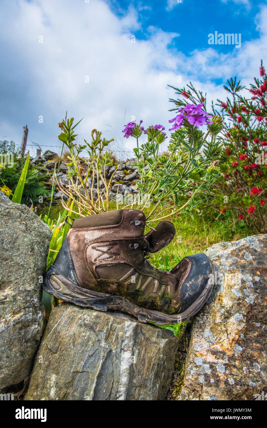 Hiking Boot with Flowers and Plants Planted In them on Stone Wall in