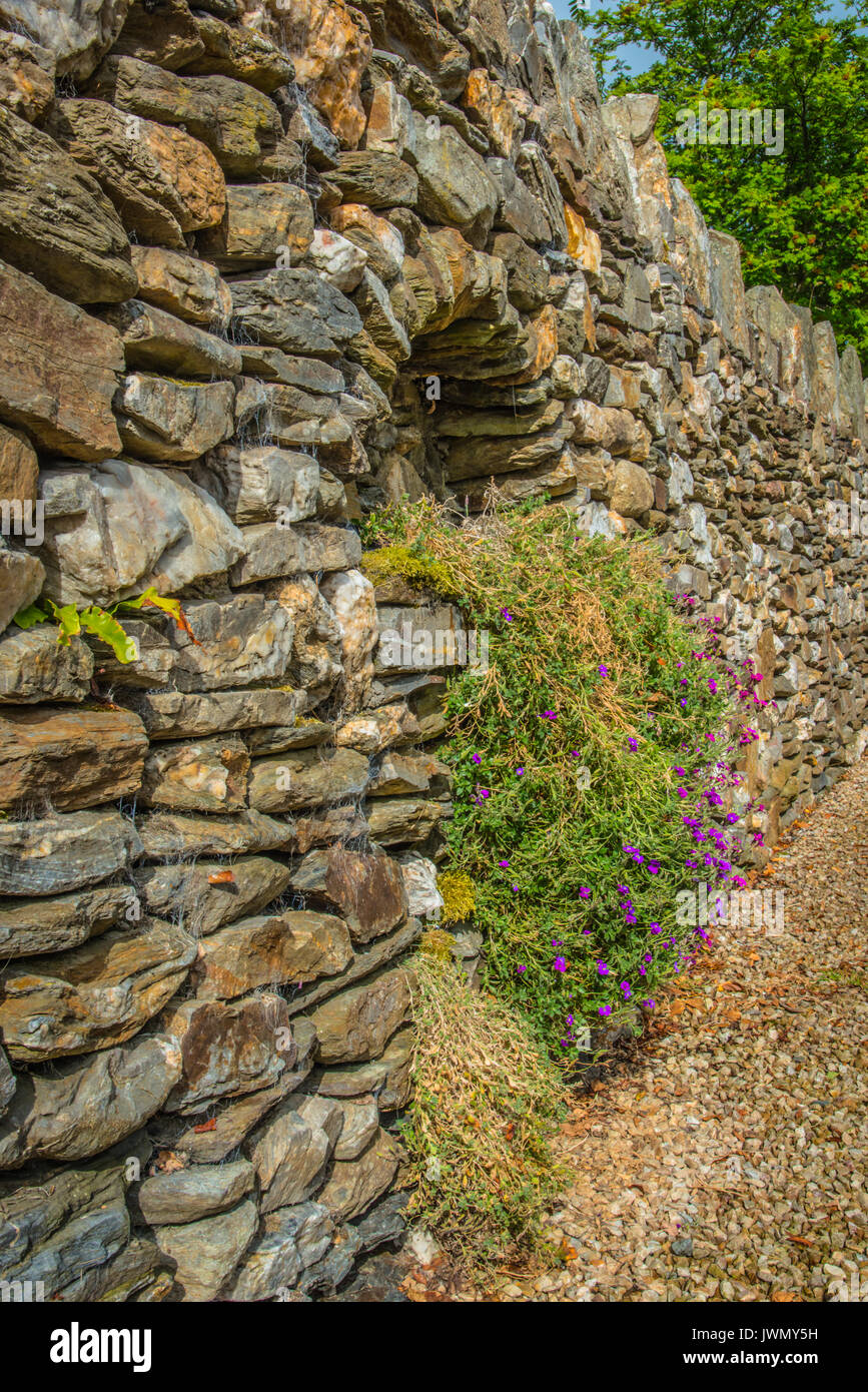 Old stone arch wild hi-res stock photography and images - Alamy