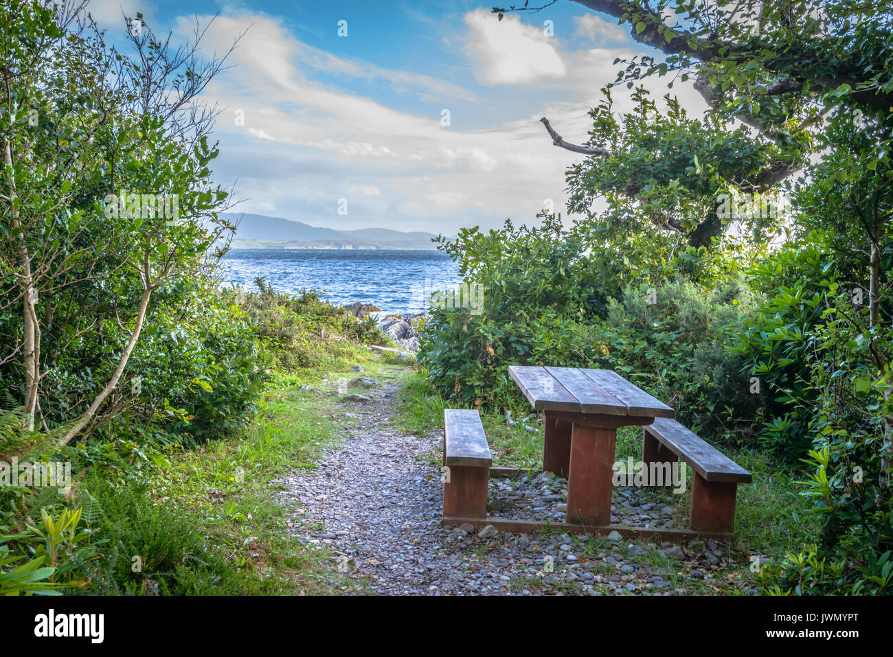 Picnic Table by the Water in Forest in Ireland Stock Photo Alamy