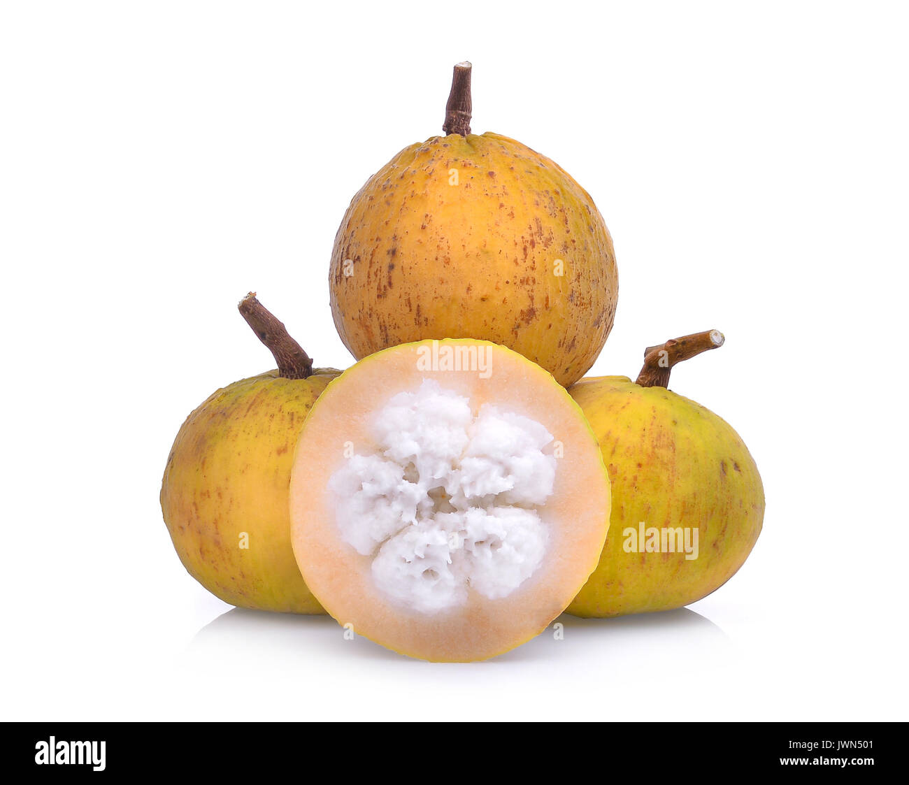 Santol Fruit In English