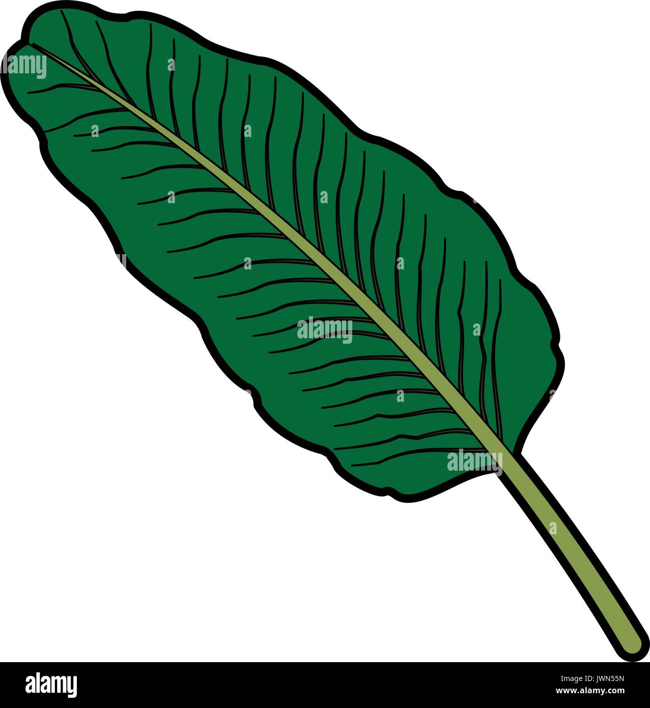 exotic tropical leave botanical flora icon Stock Vector Image & Art - Alamy