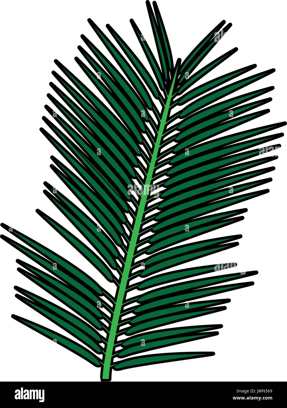 tropical exotic palm leaves natural flora Stock Vector Image & Art - Alamy
