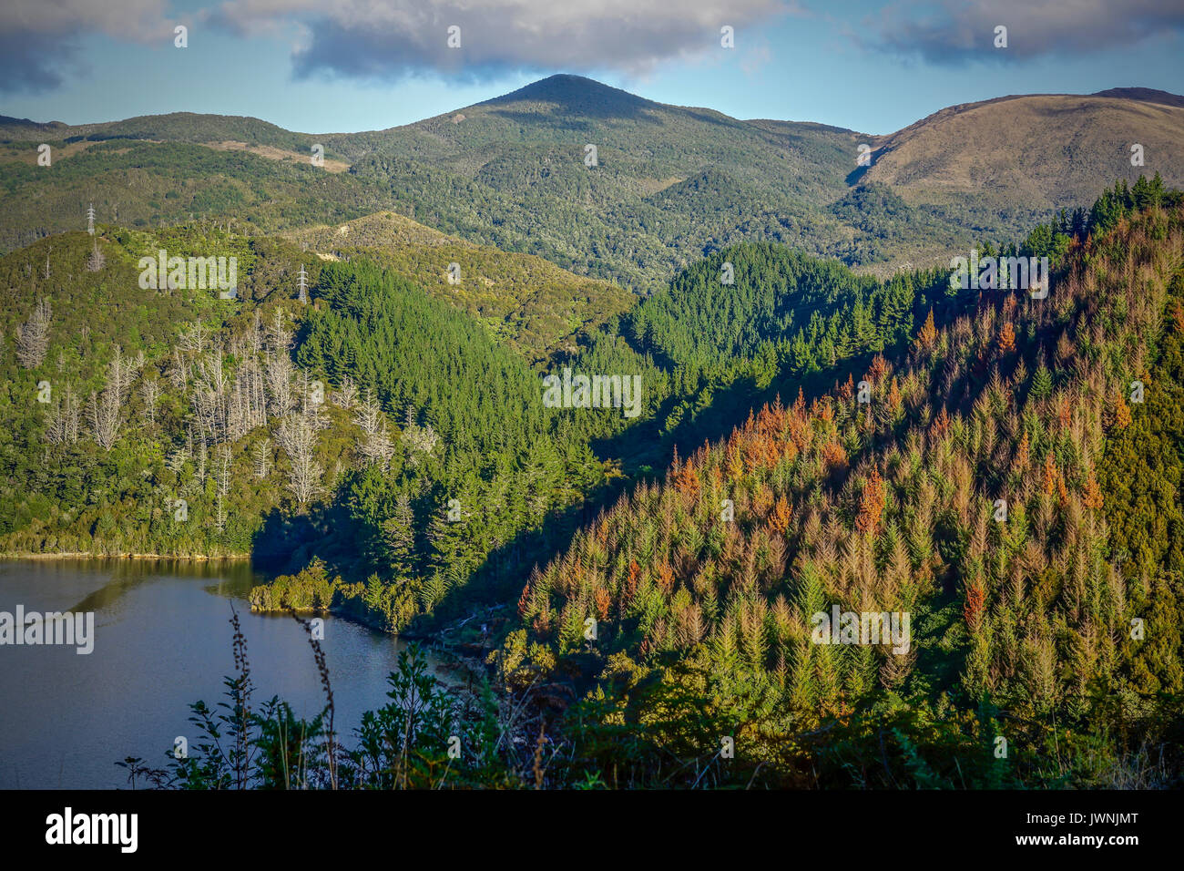 Nelson, New Zealand Stock Photo