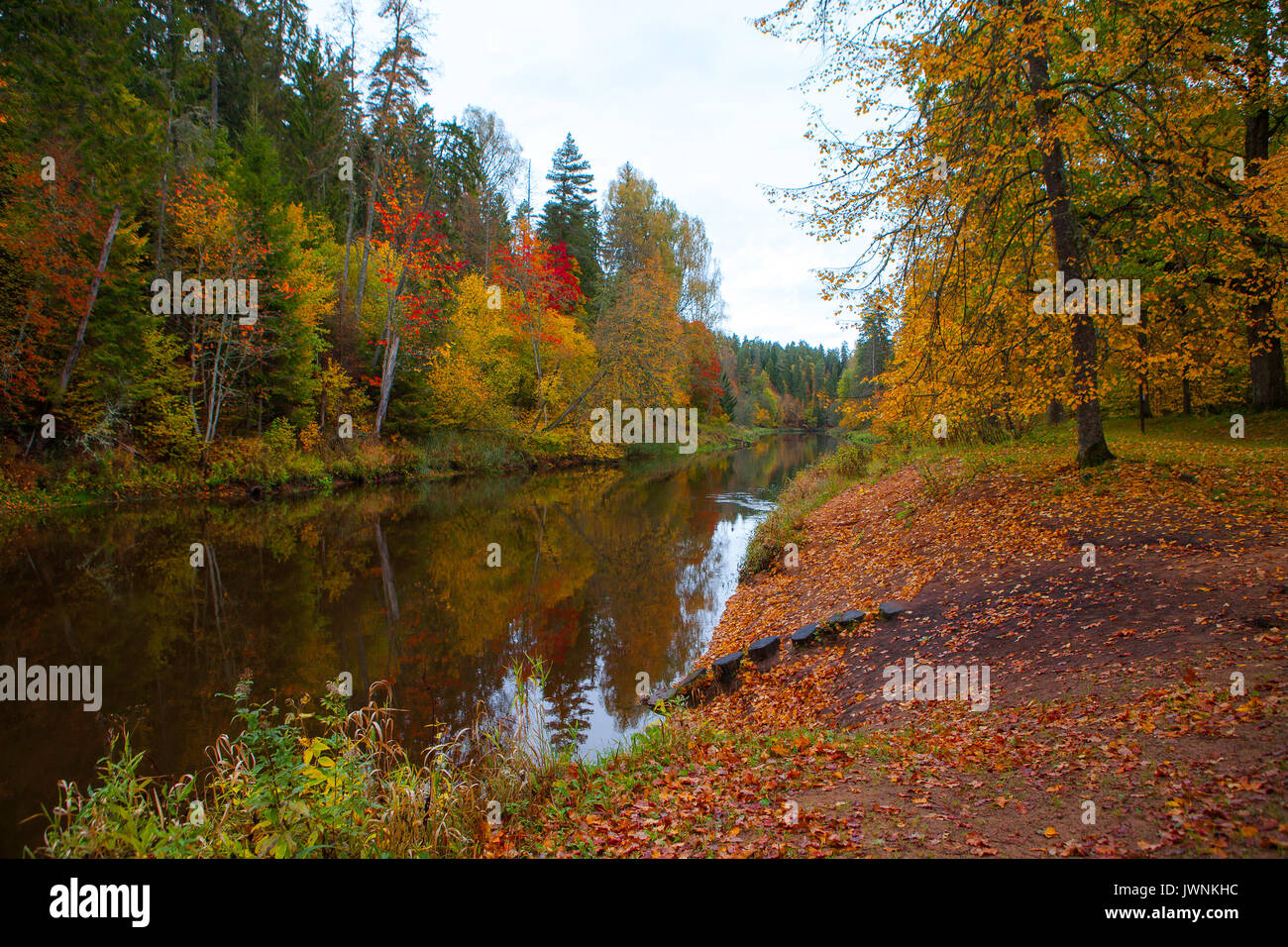 Autumn forest along the river Stock Photo - Alamy