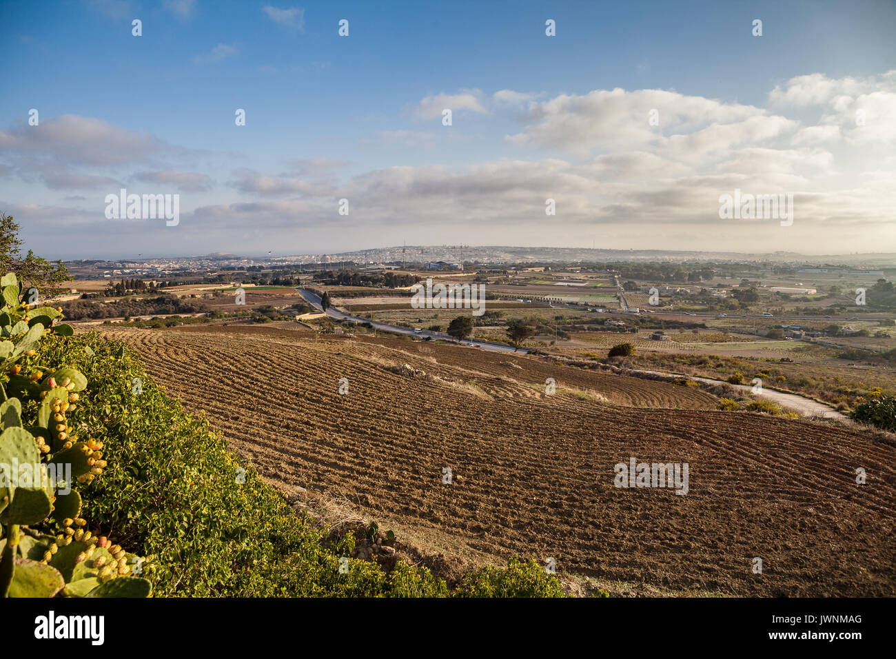 Rural landscape of Malta. Fields, exotic plants, villages Stock Photo Alamy