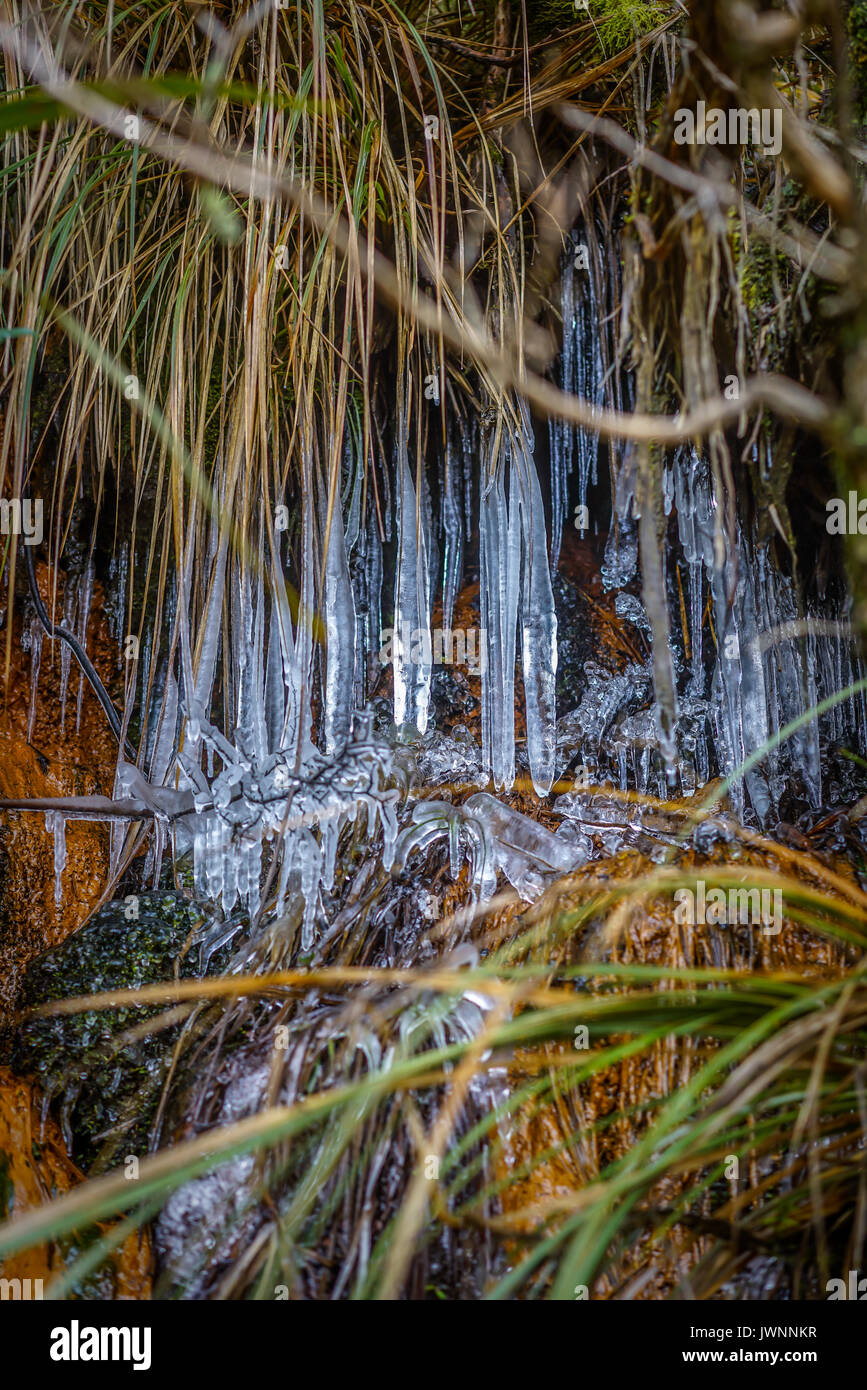 Nelson mountain hi-res stock photography and images - Alamy
