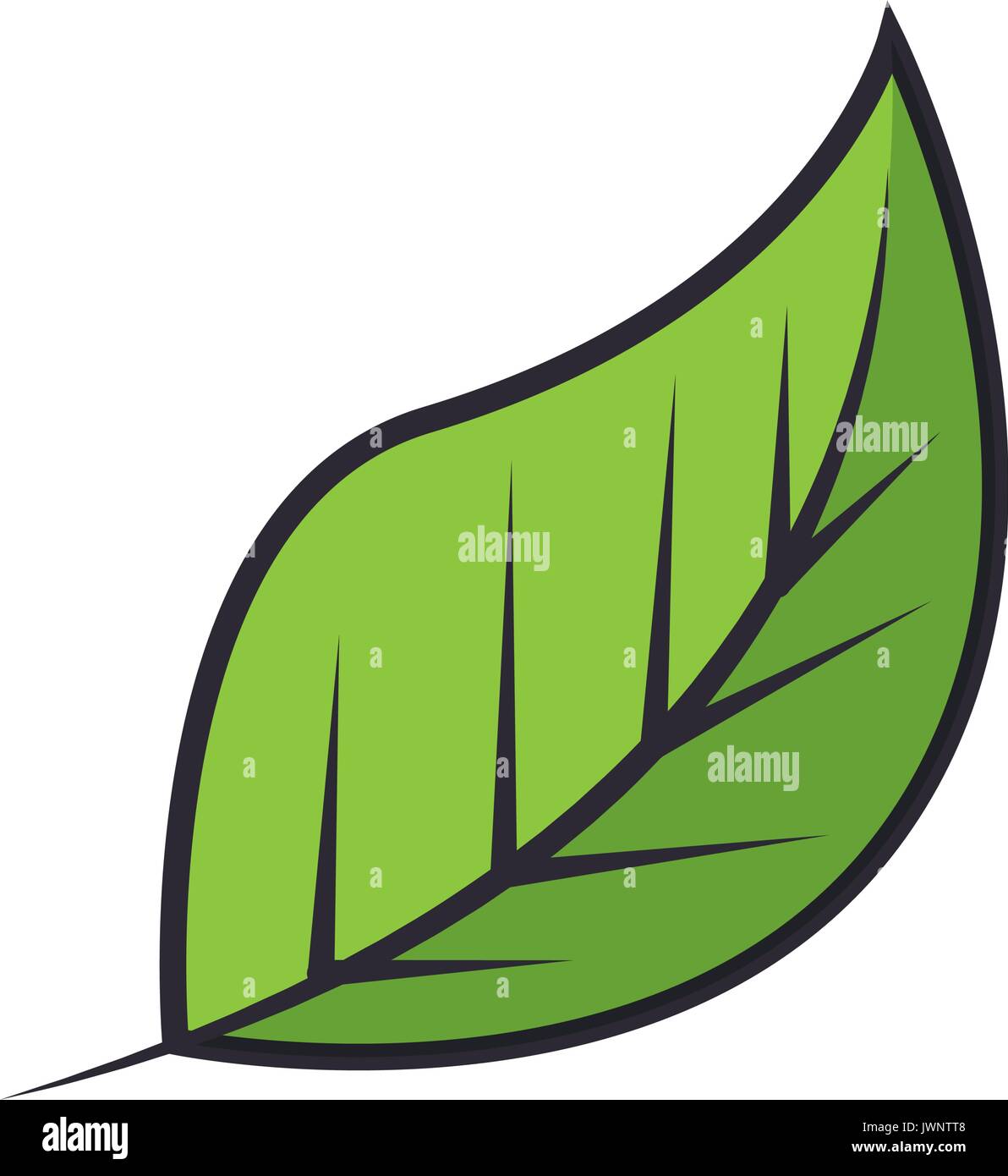 leaf icon over white background colorful deisgn vector illustration ...