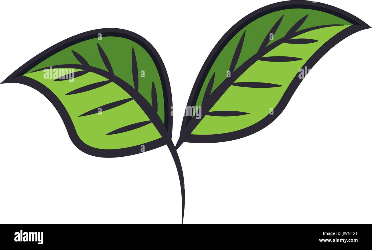 leaves icon over white background vector illustration Stock Vector ...