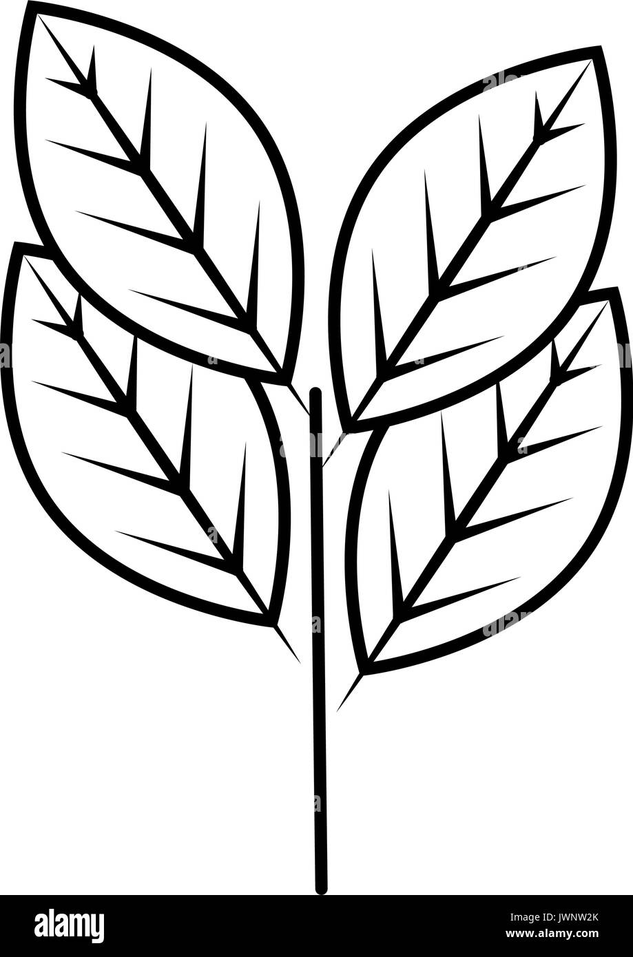 leaves icon over white background vector illustration Stock Vector ...