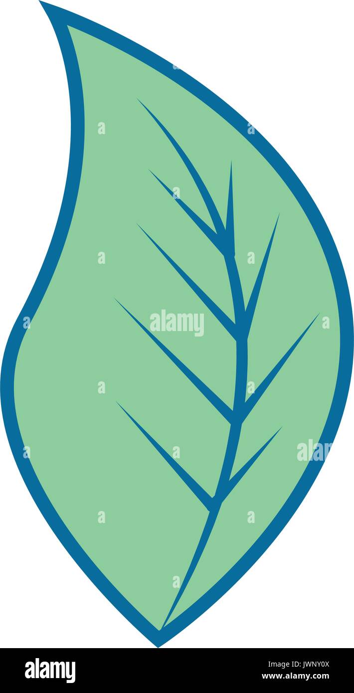 leaf icon over white background colorful deisgn vector illustration ...