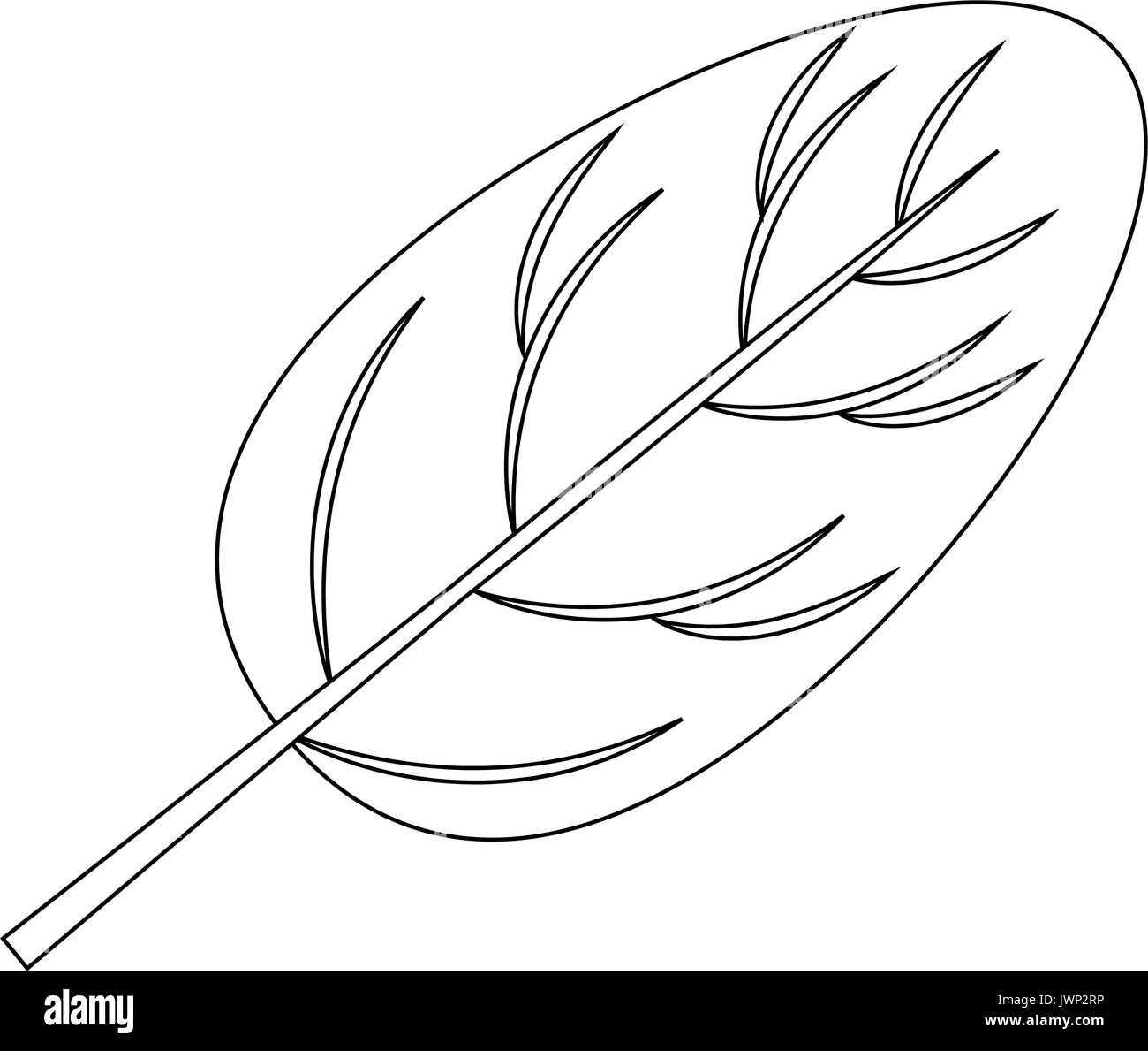 spinach leaf icon over white background vector illustration Stock ...