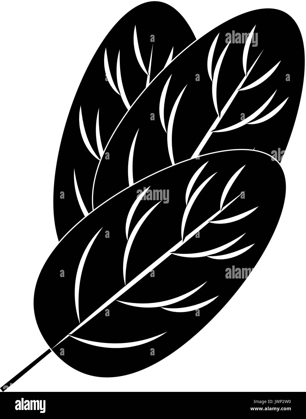 spinach leaf icon over white background vector illustration Stock ...