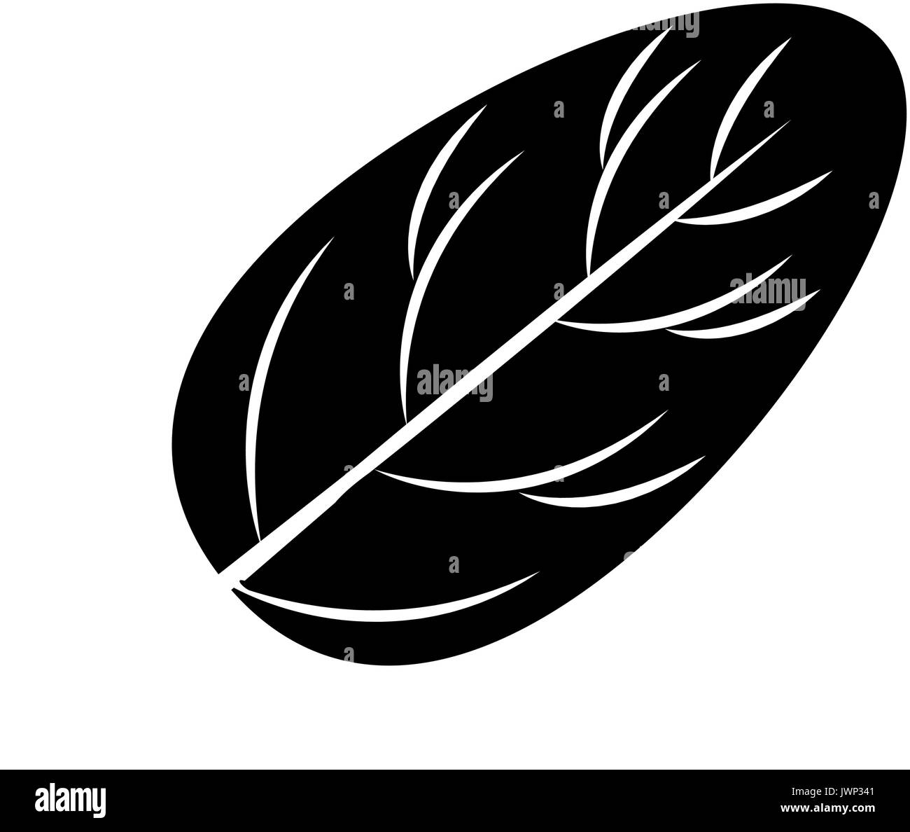spinach leaf icon over white background vector illustration Stock ...