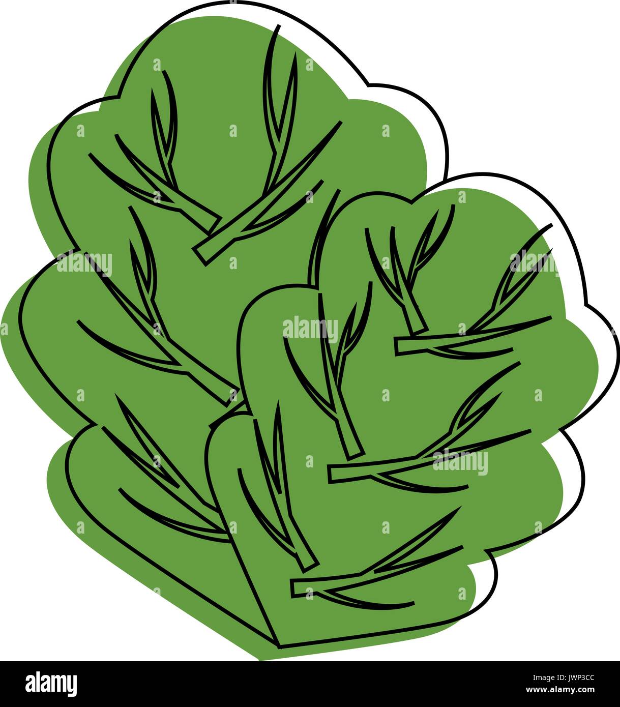 spinach leaf icon over white background vector illustration Stock ...