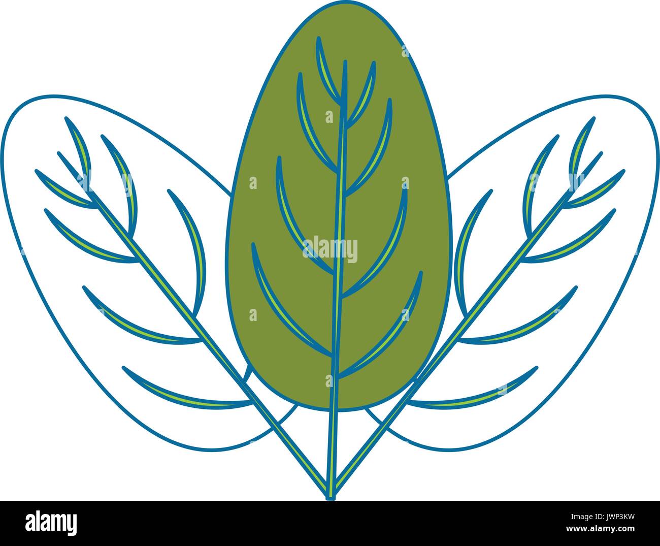 spinach leaf icon over white background vector illustration Stock ...