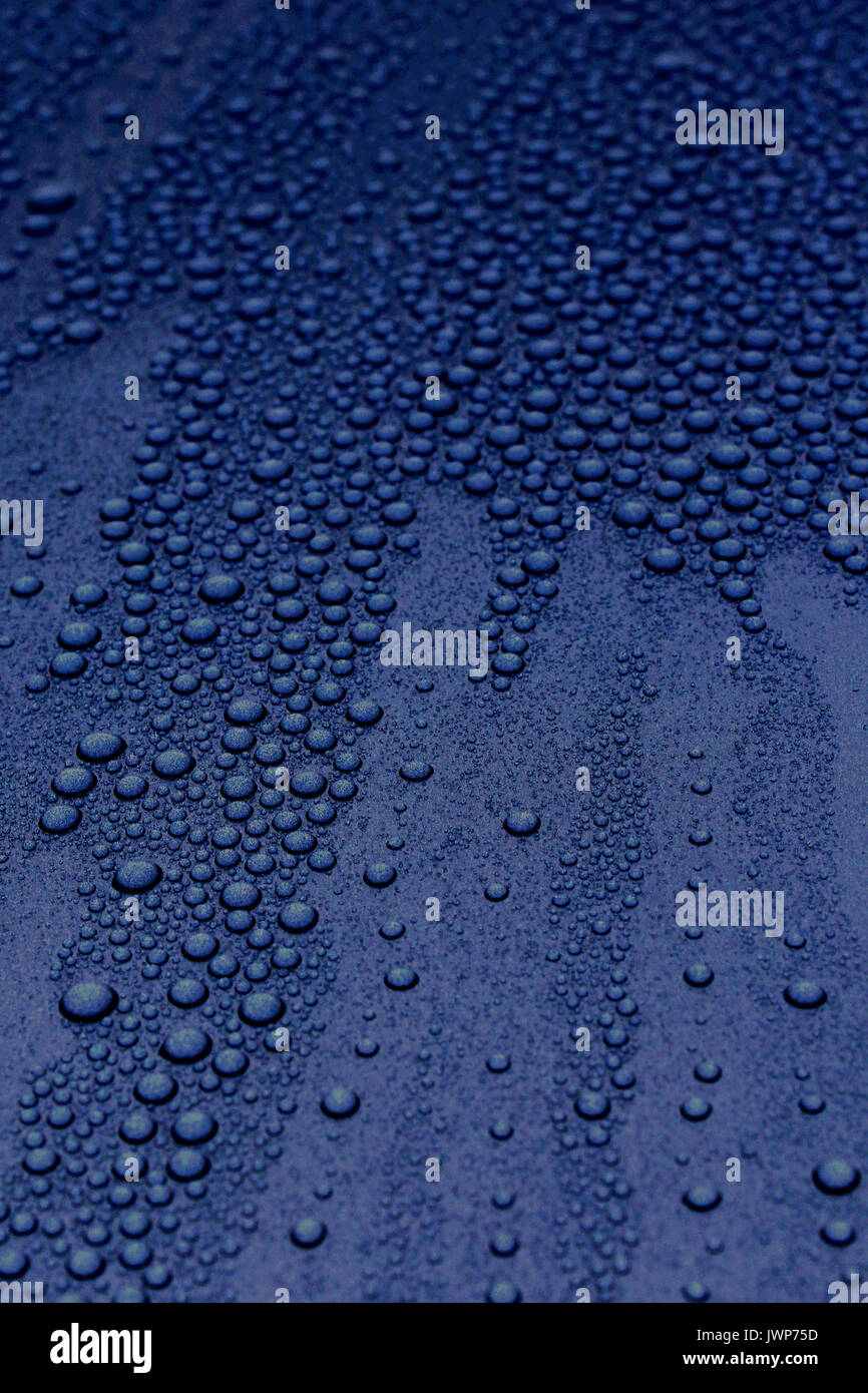 rain drops on classic car hood Stock Photo Alamy
