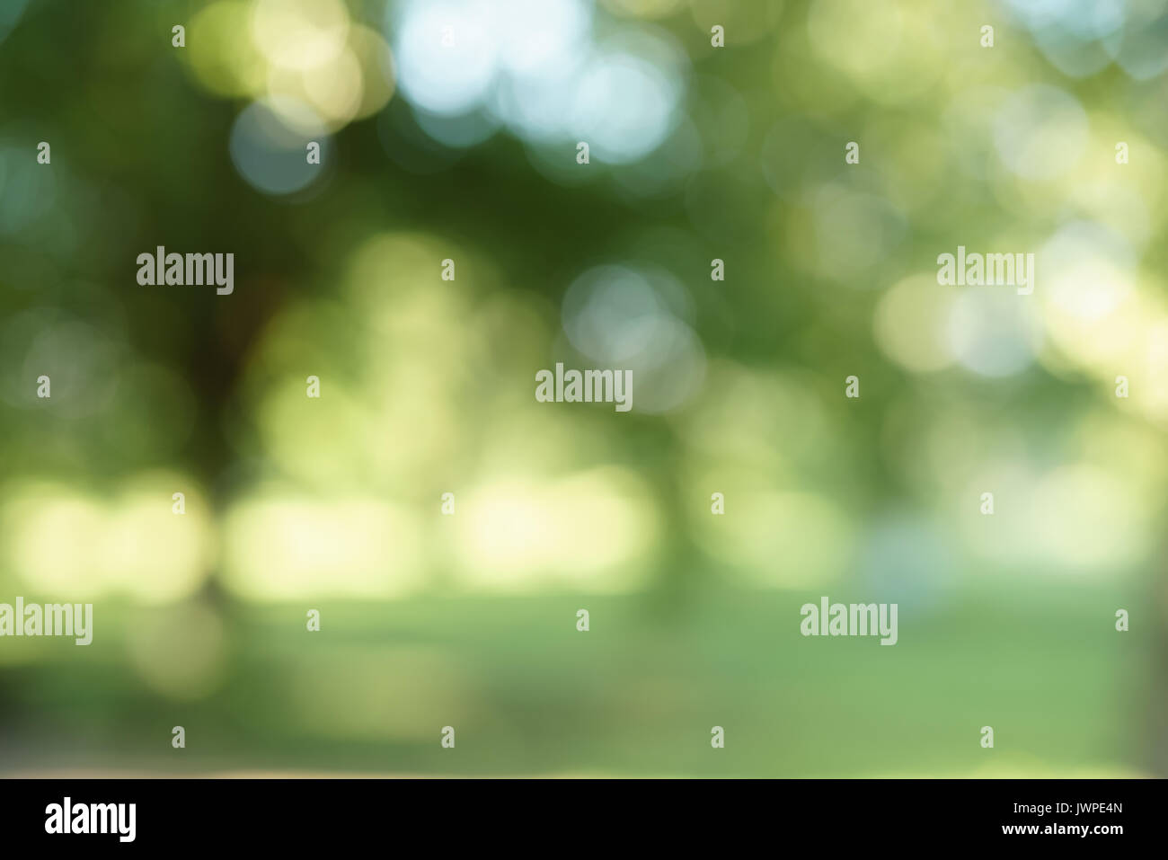 park blurred background in summer day, real lens bokeh Stock Photo - Alamy