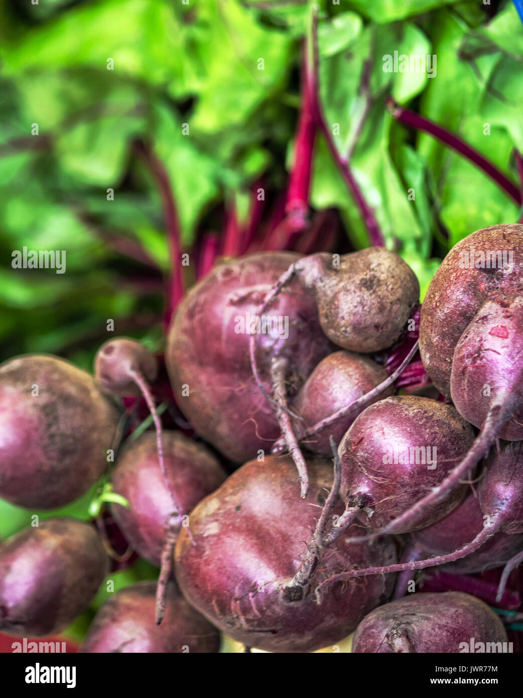 Beetroots raw hi-res stock photography and images - Alamy