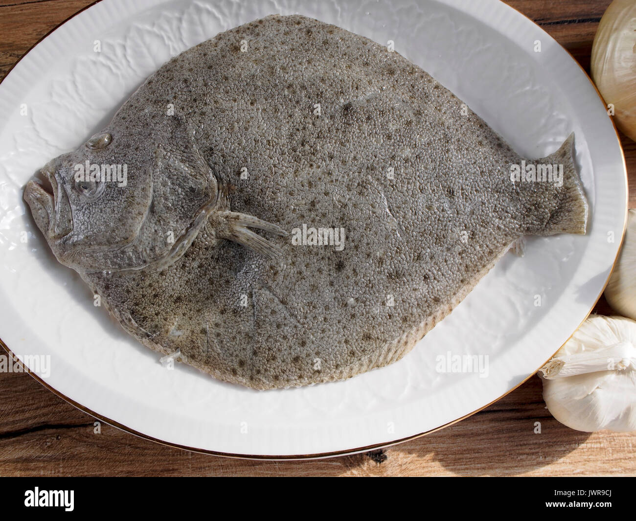 Turbot in a plate on wood background Stock Photo